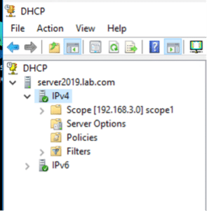 Check DHCP